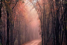 配资114查询:现在买股票怎么开户-2.3万亿！时隔十年 A股两融余额创历史新高